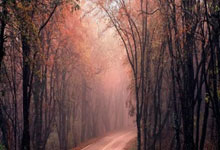 华体会官网：[欧冠]门将补时破门 拉齐奥绝平马德里竞技.