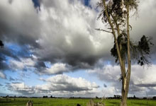 WTA1000迈阿密站第四轮 高芙0-2不敌里内特遭到淘汰.