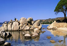 ⚡️首开记录！戈麦斯助攻努里头球破门，狼队1-0领先.